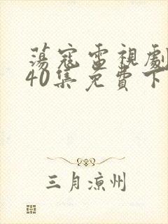 荡寇电视剧全集40集免费下载观看