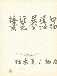 接近尿道口痒有黄色分泌物