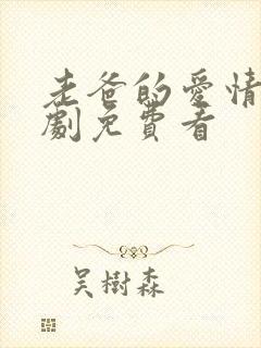 老爸的爱情电视剧免费看封面