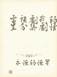 电视剧我的后半生分集剧情