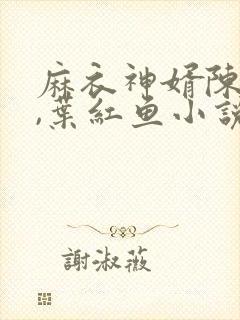 麻衣神婿陈黄皮,叶红鱼小说