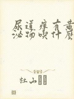 尿道痒有黄色分泌物吃什么药封面