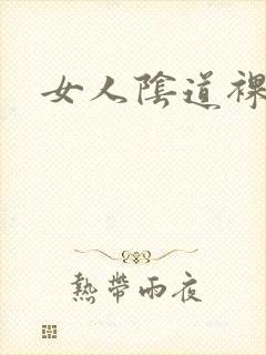 女人阴道裸体照