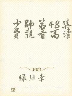 少帅第48集免费观看高清