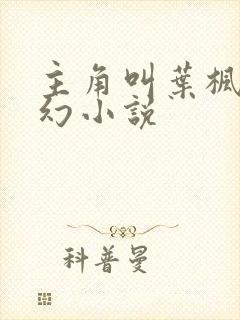 主角叫叶枫的玄幻小说