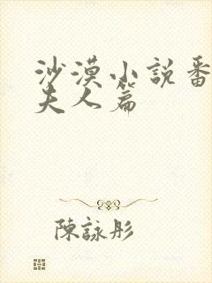 沙漠小说番外田夫人篇