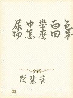 尿中带白色沉淀物怎么回事