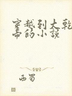 穿越到大乾当皇帝的小说