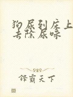 狗尿到床上怎么去除尿味