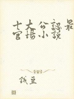 十大公认最好看官场小说