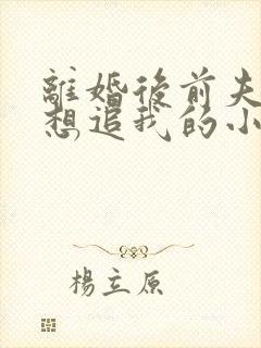 离婚后前夫总是想追我的小说