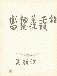 侧柏叶子能去除白发洗头封面