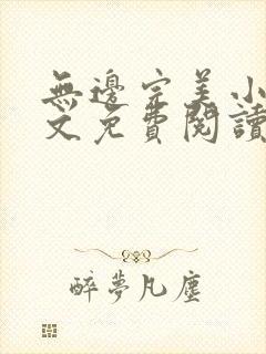 无边完美小说全文免费阅读