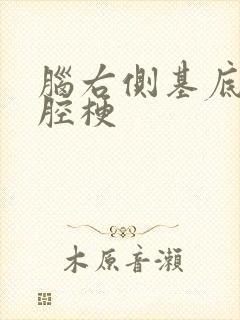 脑右侧基底节区腔梗