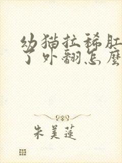 幼猫拉稀肛门肿了外翻怎么办封面