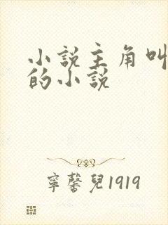 小说主角叫林天的小说封面