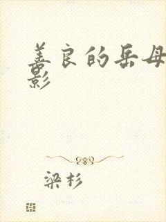 善良的岳母 电影封面