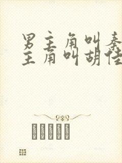 男主角叫秦峰女主角叫胡佳云的小说封面