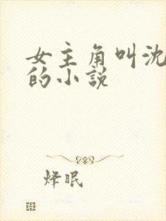 女主角叫沈清澜的小说