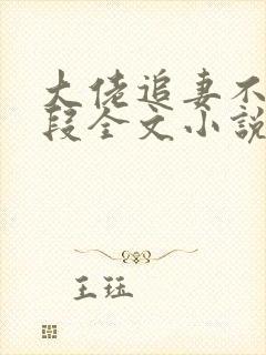 大佬追妻不择手段全文小说阅读全文