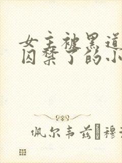 女主被黑道大佬囚禁了的小说封面