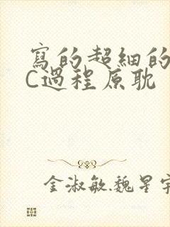 写的超细的多肉C过程原耽