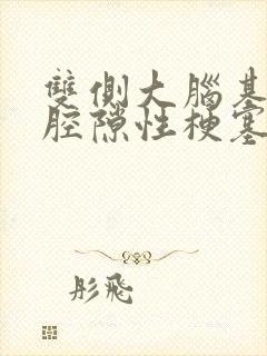 双侧大脑基底节腔隙性梗塞