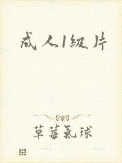 成人1级片