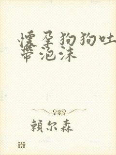 怀孕狗狗吐黄水带泡沫封面