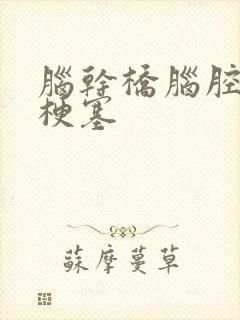 脑干桥脑腔隙性梗塞