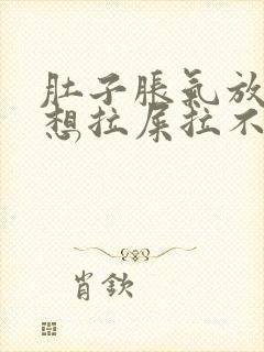 肚子胀气放屁多想拉屎拉不出来