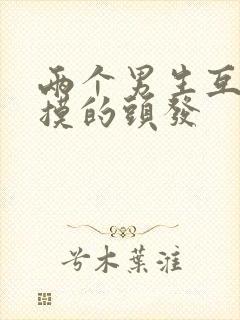 两个男生互相互摸的头发