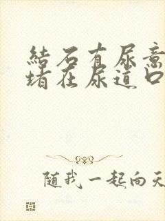 结石有尿意感觉堵在尿道口