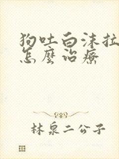 狗吐白沫拉血便怎么治疗