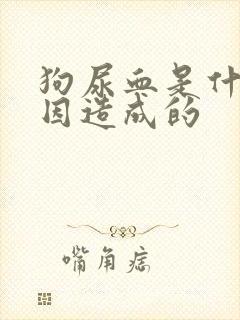 狗尿血是什么原因造成的封面