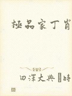 极品家丁肖青璇