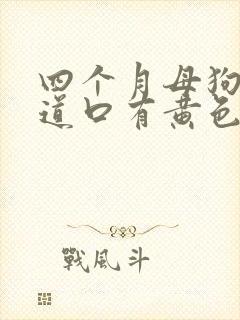 四个月母狗狗尿道口有黄色分泌物为什么封面