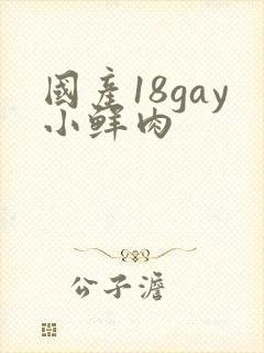 国产18gay小鲜肉