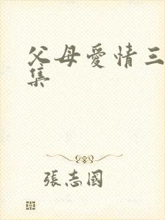 父母爱情三十三集