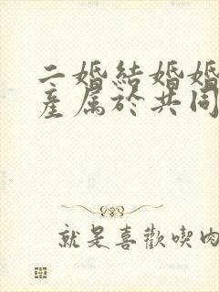 二婚结婚婚前财产属于共同财产吗封面