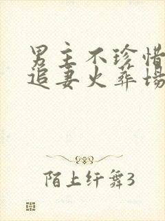 男主不珍惜女主追妻火葬场