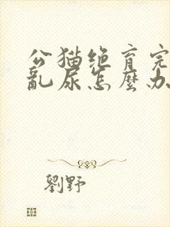 公猫绝育完还是乱尿怎么办