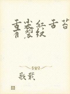 舌尖红舌苔黄腻有裂纹封面