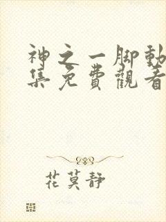 神之一脚动漫全集免费观看