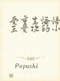 受重生悔悟双男主爱攻的小说