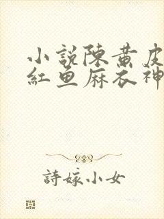 小说陈黄皮,叶红鱼麻衣神婿封面