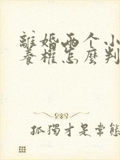 离婚两个小孩抚养权怎么判