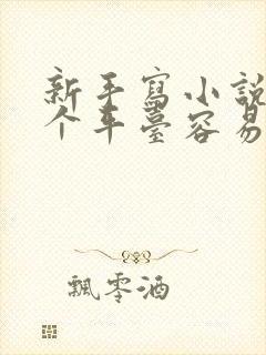 新手写小说去哪个平台容易赚到钱封面