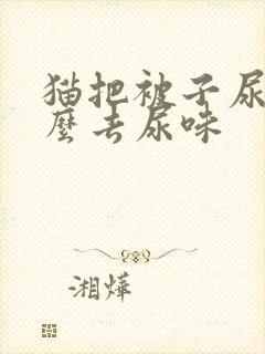 猫把被子尿了怎么去尿味