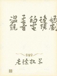 温柔的后妈在线观看电视剧免费高清